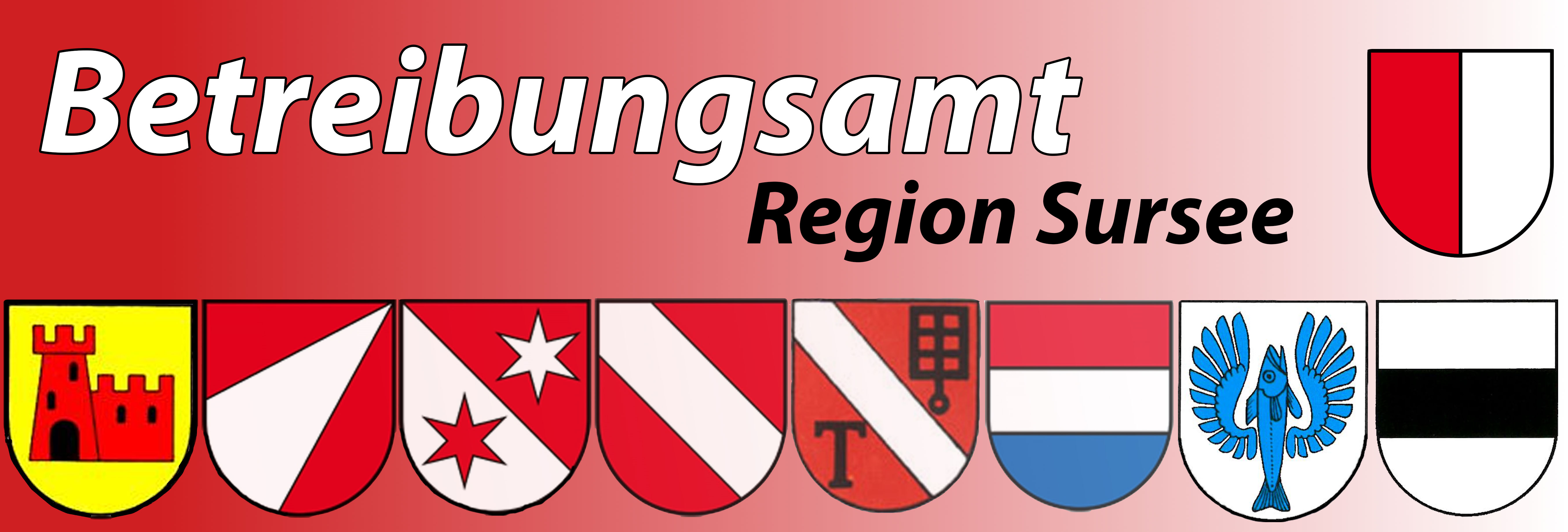 Willkommen Beim Betreibungsamt Sursee Betreibungsamt Region Sursee